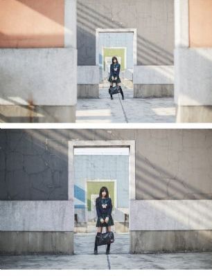 枫与铃动漫在线看